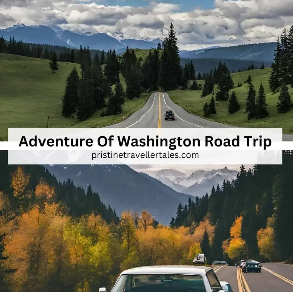 Washington Road Trip