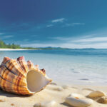 beautiful-seashell-beach-costa-rica