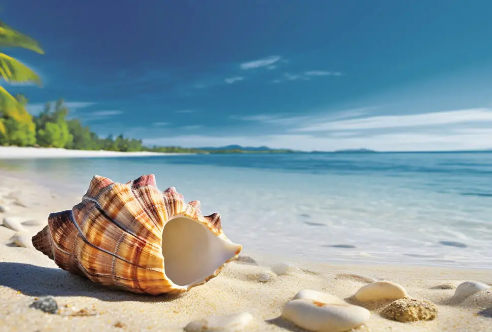 beautiful-seashell-beach-costa-rica