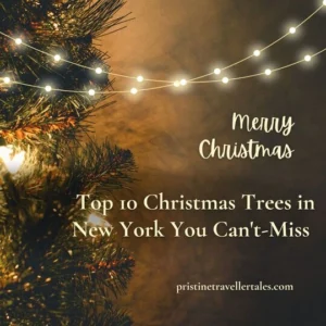 top 10 Christmas trees in New York