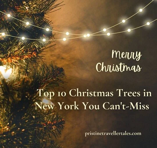 Top 10 Christmas Trees in New York You Can’t-Miss